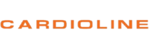 Partner 11